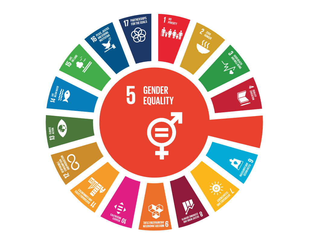 SDG Wheel