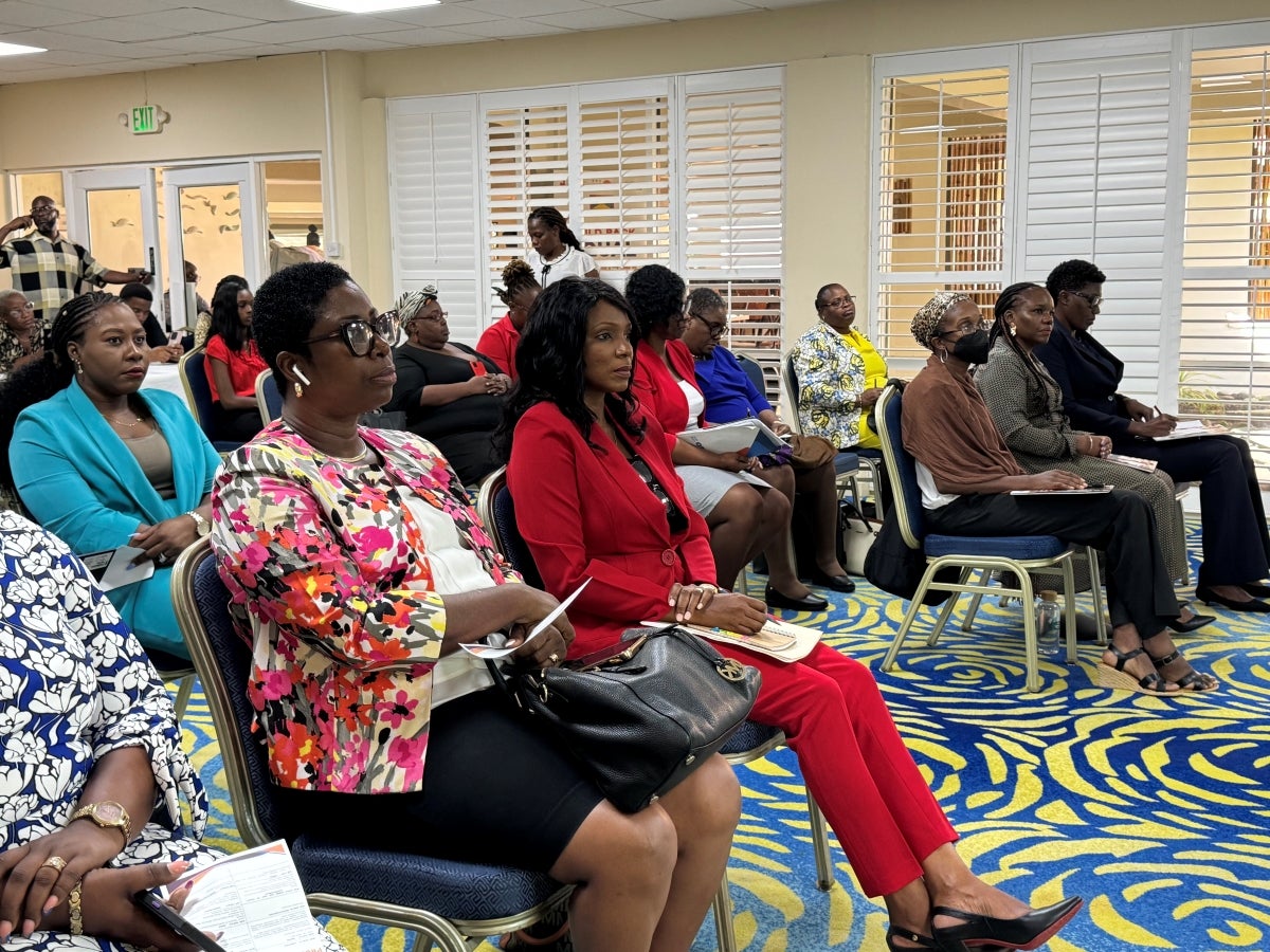 Audience in attendance of the BBE Project Steering Committee Meeting