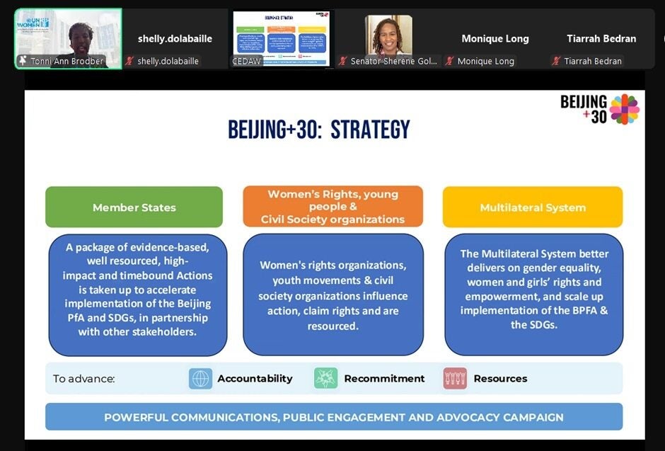 Ms. Brodber presents on the Beijing +30 strategy