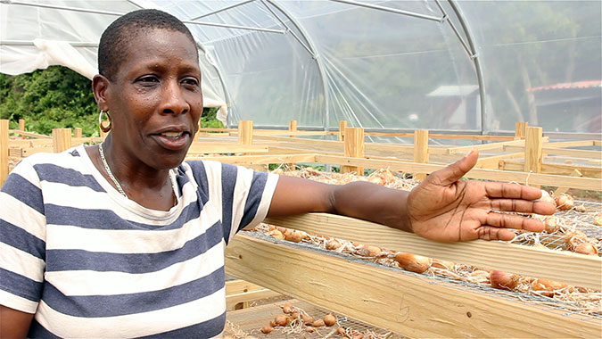 Jennifer Pascal, Dominican woman farmer. Photo: UN Women/Justin King