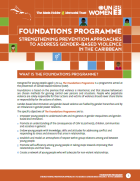 Foundations Programme