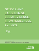 Gender and Labour in St Lucia-Evidence from Household Surveys