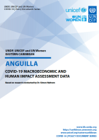 Human Impact and Economic Impact Assessment - Anguilla