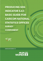 Producing SDG indicator 541 Guidance for CARICOM Stats Offices